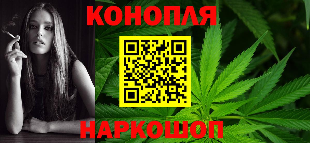 Бошки марихуана OG Kush  Бошки марихуана план  Вход с VPN  Бор  Шишки марихуана THC 21% 